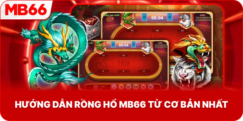 Hướng Dẫn Rồng Hổ MB66 từ cơ bản nhất