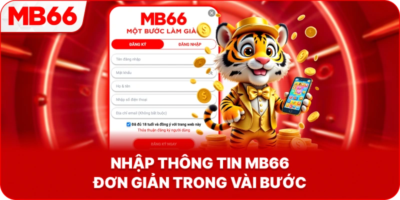 Nhập Thông Tin MB66 đơn giản trong vài bước