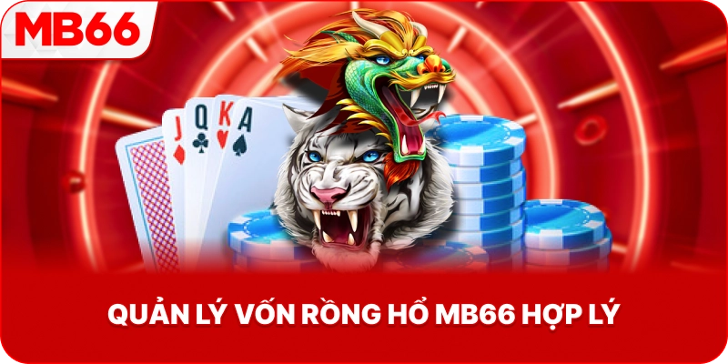 Quản Lý Vốn Rồng Hổ MB66 hợp lý