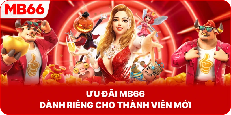 Ưu Đãi MB66 dành riêng cho thành viên mới